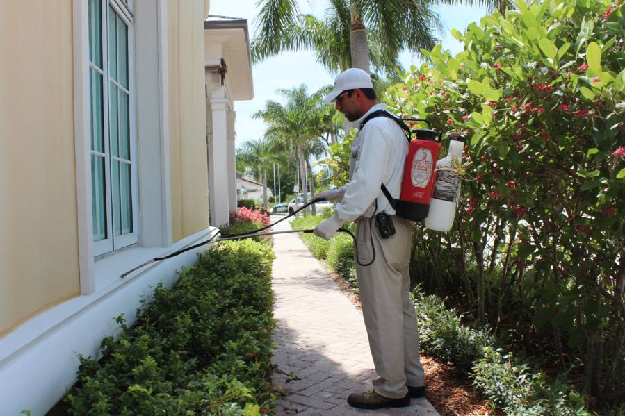 The Phoenix Pest Control Companies That Actually Get the Job Done Right